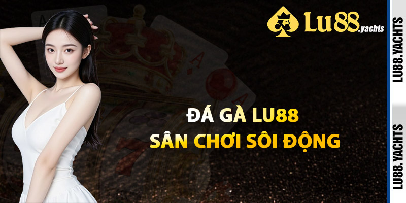 Đá Gà Lu88 Sân Chơi Sôi Động