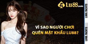 Vì Sao Người Chơi Quên Mật Khẩu Lu88?